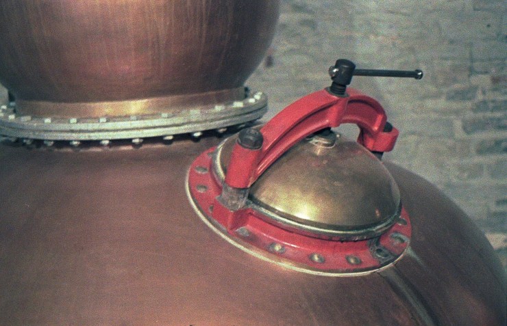 48960739027_b8a834cd04_o