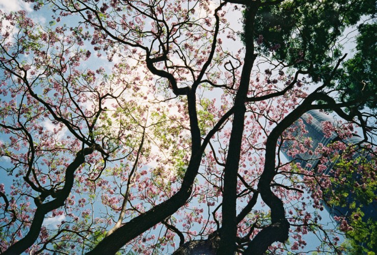 Photo 2019-12-05, 7 47 09 AM (1)