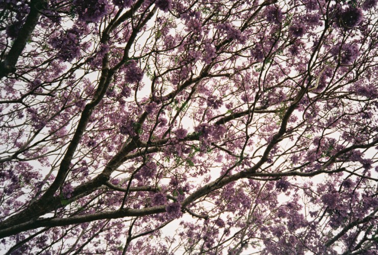 Photo 2019-12-05, 7 47 10 AM