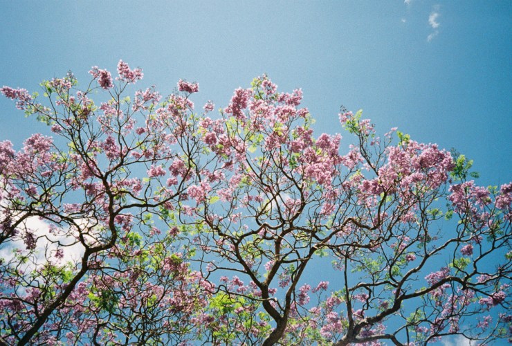 Photo 2019-12-05, 7 47 11 AM (1)