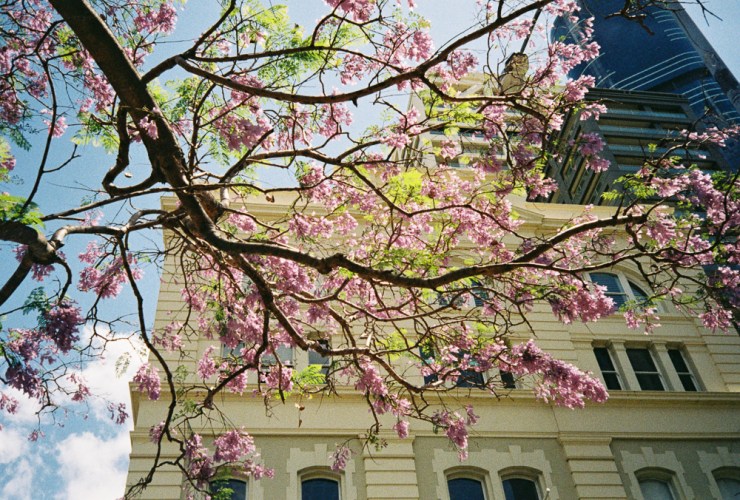 Photo 2019-12-05, 7 47 11 AM