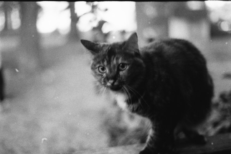 Processed With Darkroom