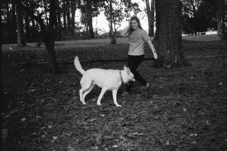 Processed With Darkroom