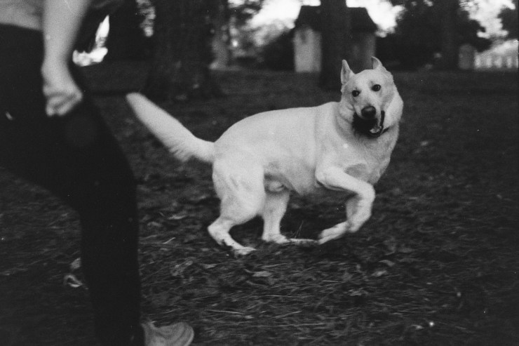 Processed With Darkroom