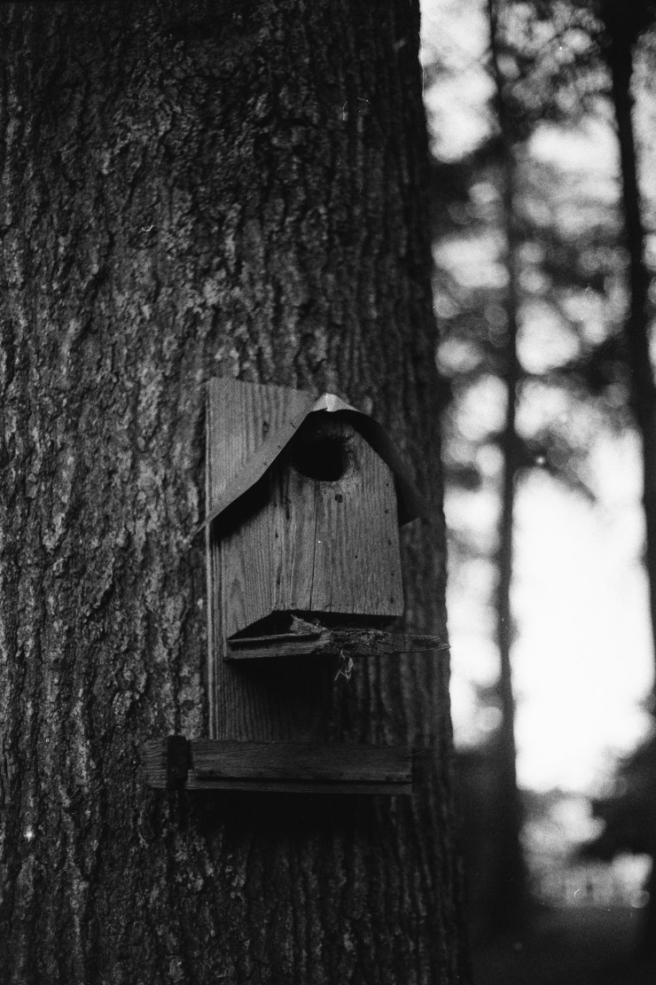 Processed With Darkroom