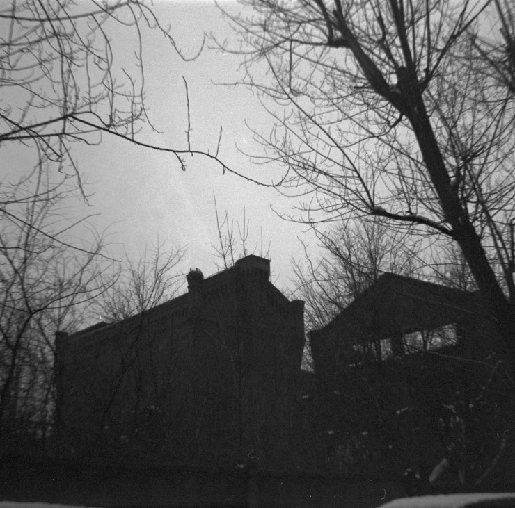 Ilford_HP5_400_February