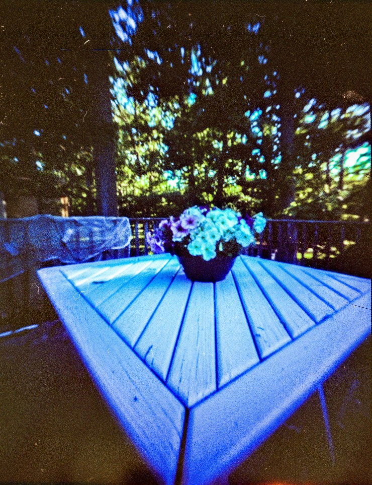 dw pinhold lomo 800 deck -207