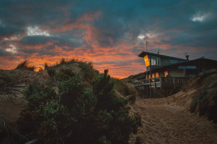 50139929541_67a5f67b89_k